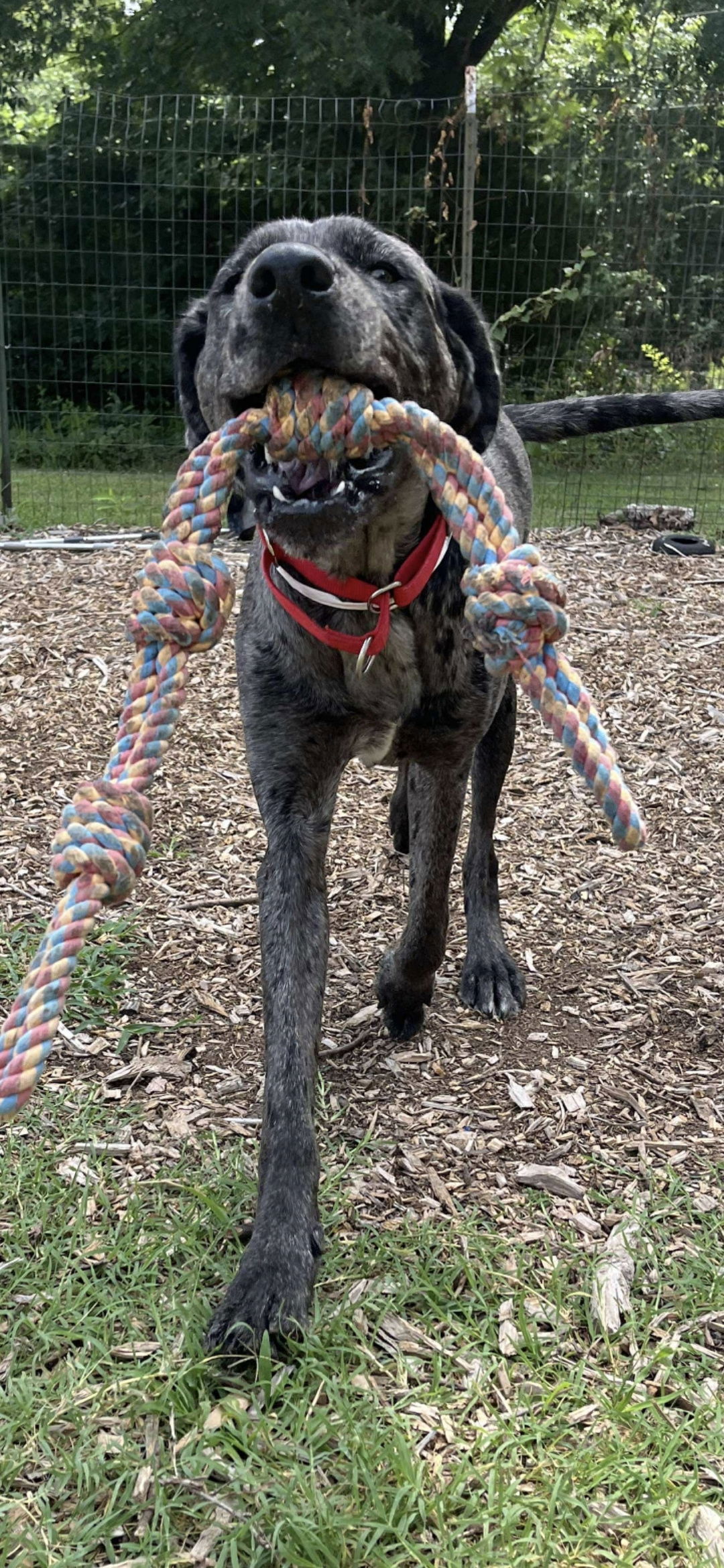 Cookie: At shelter