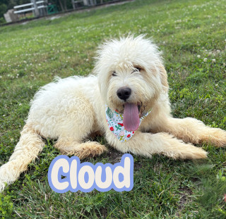 Cloud 125257