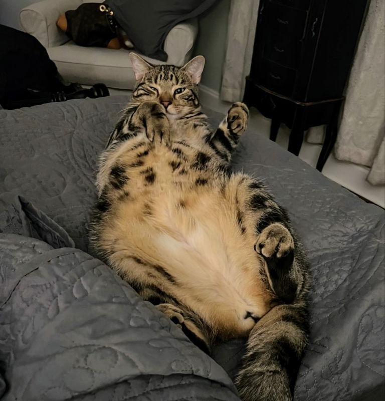 Oliver