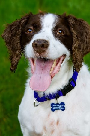 Forrest Gump, Senior Male unknown