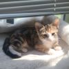 Deedee photo 4