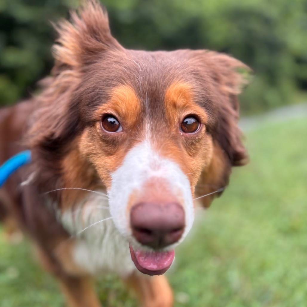 Ella