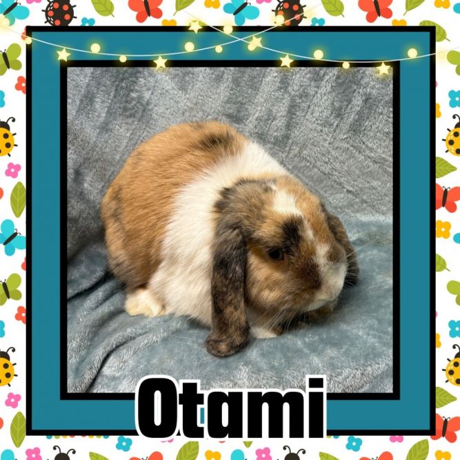 Otami
