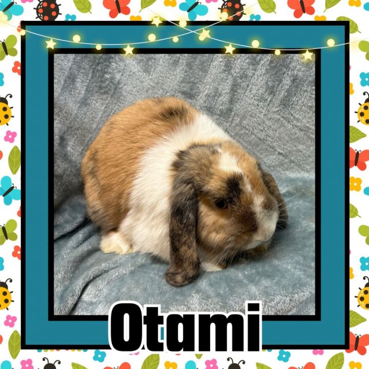 Otami 1