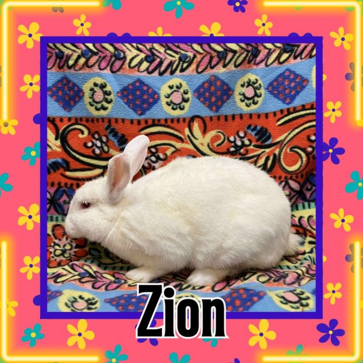 Zion 1