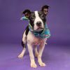 Oreo Junior photo 2