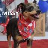 Missy photo 2