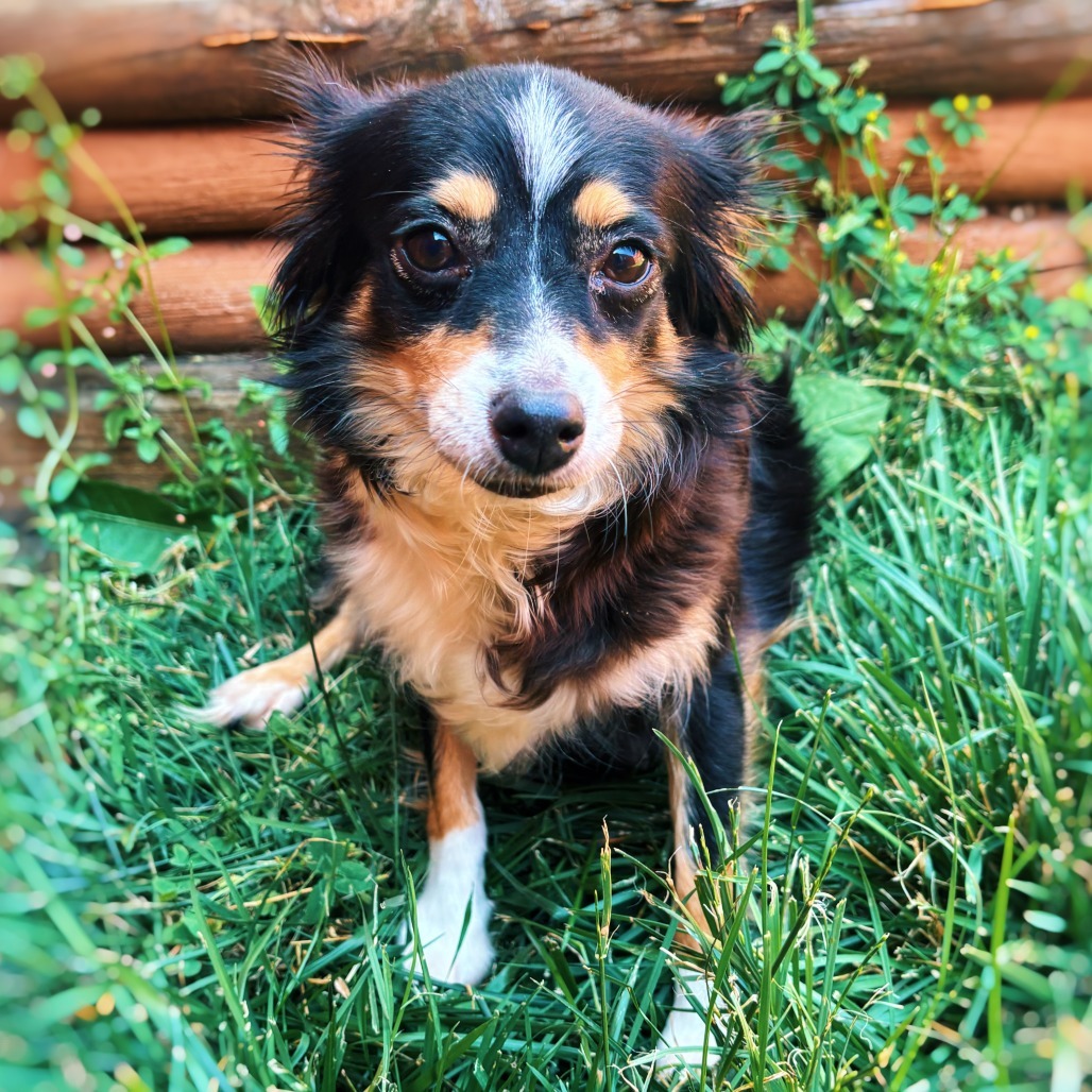 Teresa