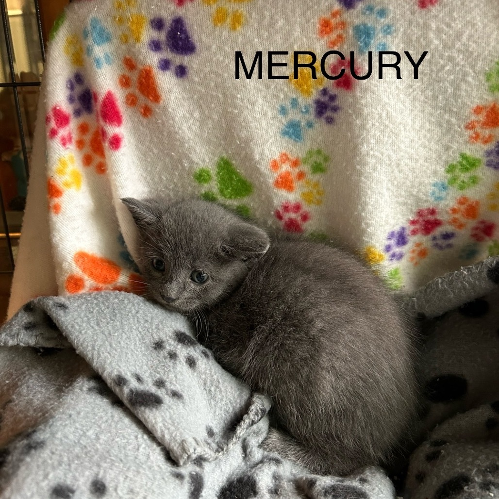 Mercury