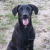 Parker photo 3