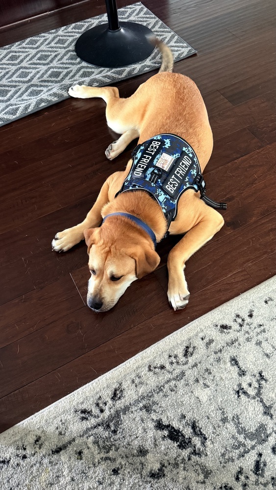 Pup Huck