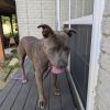 Chance photo 1