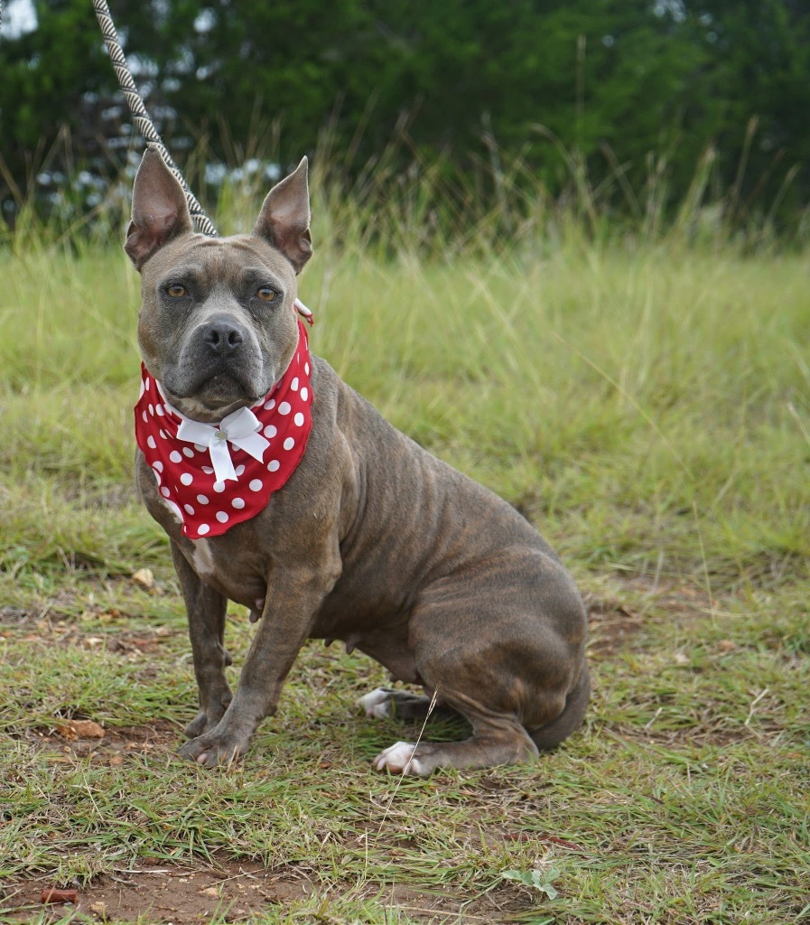 Rosie