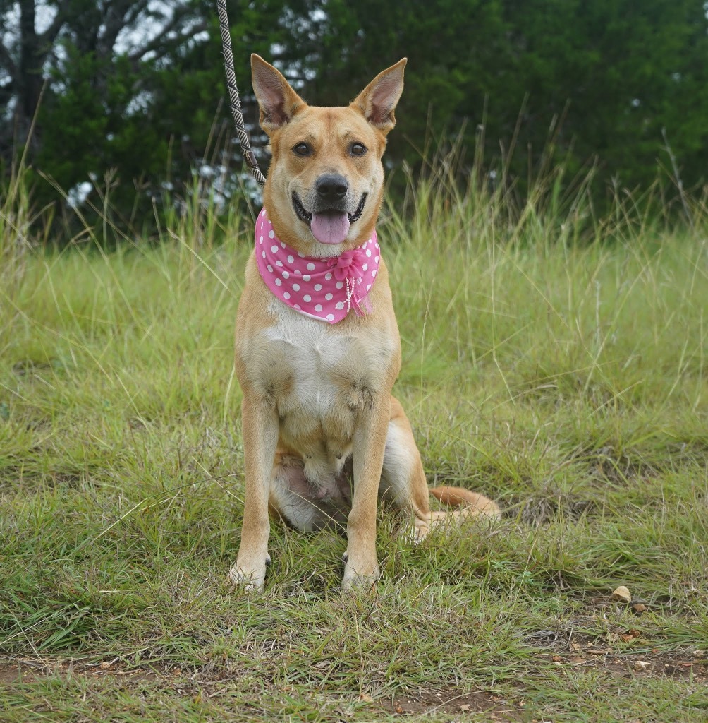 Cora
