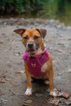 Marnie photo 1