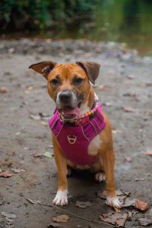 Marnie, Young Female unknown