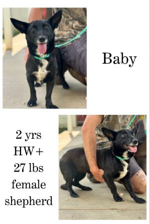 Baby, Adult Female unknown