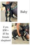 Luna Baby photo 1