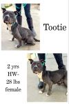 Tootie photo 1