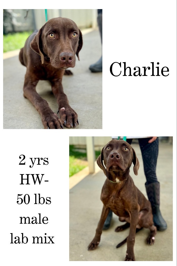 Charlie