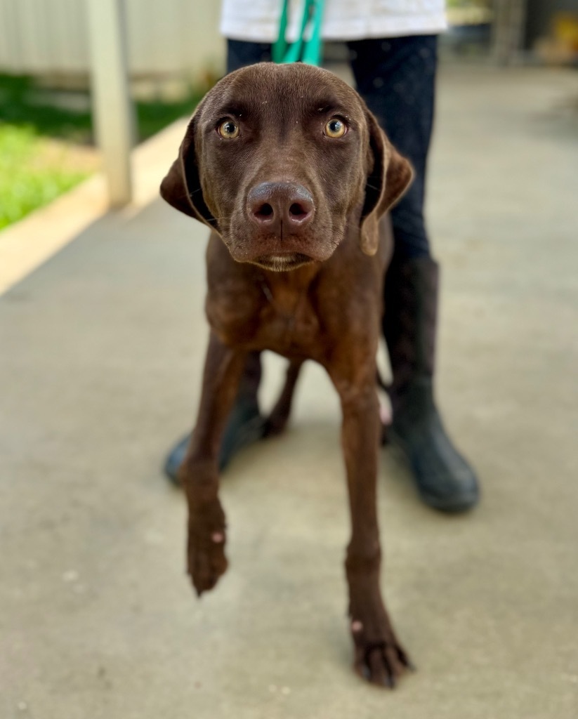 Charlie