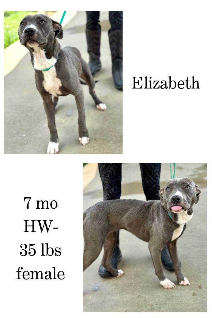 Elizbeth