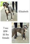 Elizbeth photo 1