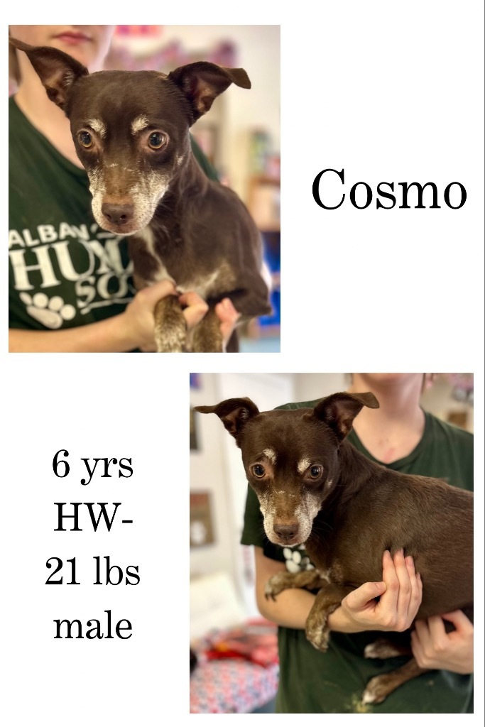 Cosmo