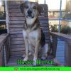 Buster Brown photo 1