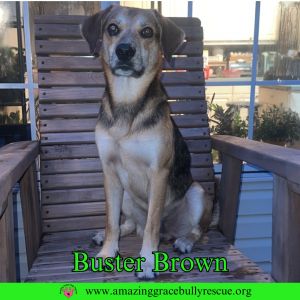 Buster Brown, Young Male unknown