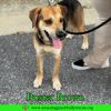Buster Brown photo 2