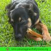 Curtis photo 3