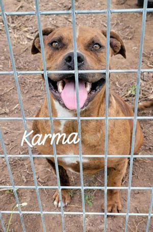 Photo of Karma