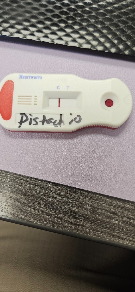 Pistachio