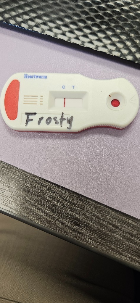 Frosty
