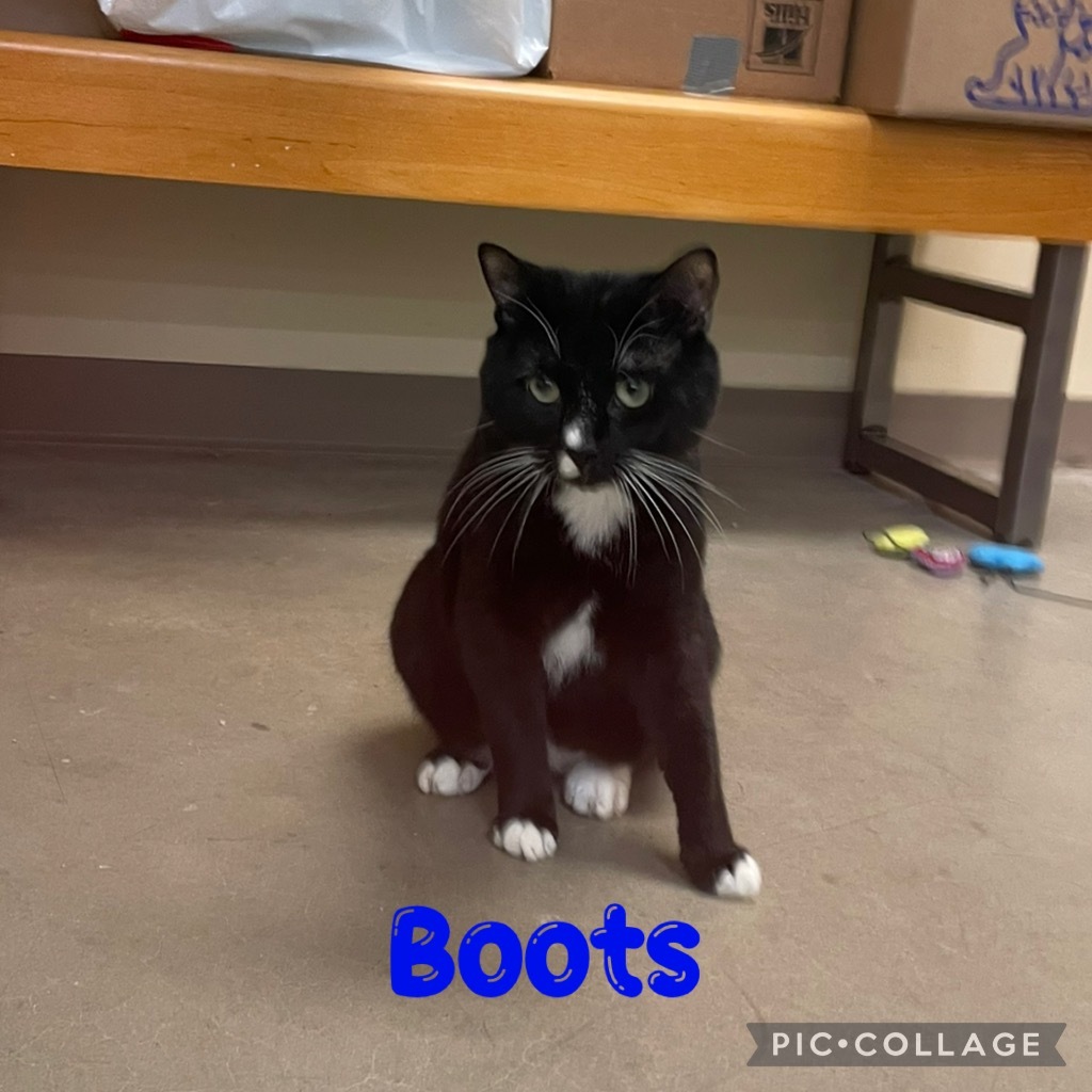 Boots