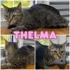 Thelma photo 1