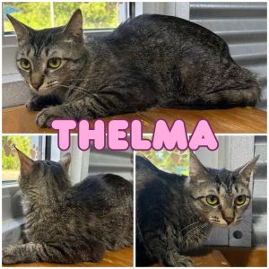 Thelma, Young Female unknown