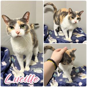 Lucille, Senior Female unknown