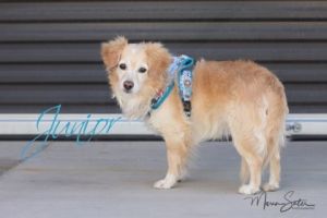 Photo of Junior