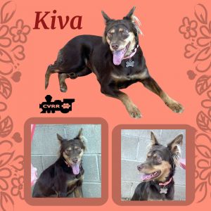 Kiva