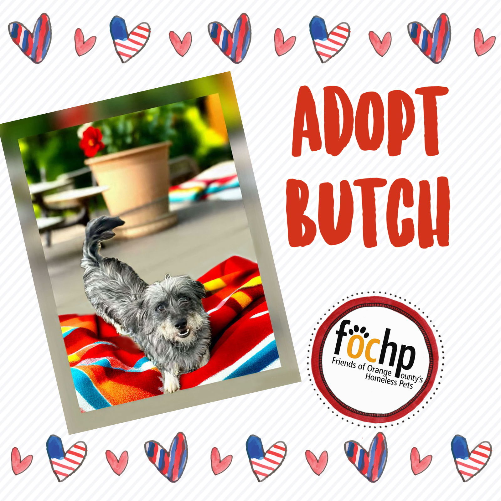 Butch
