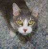 Astrid photo 4