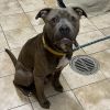 Sterling (mcas) photo 4