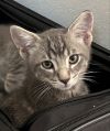 Smokey photo 1