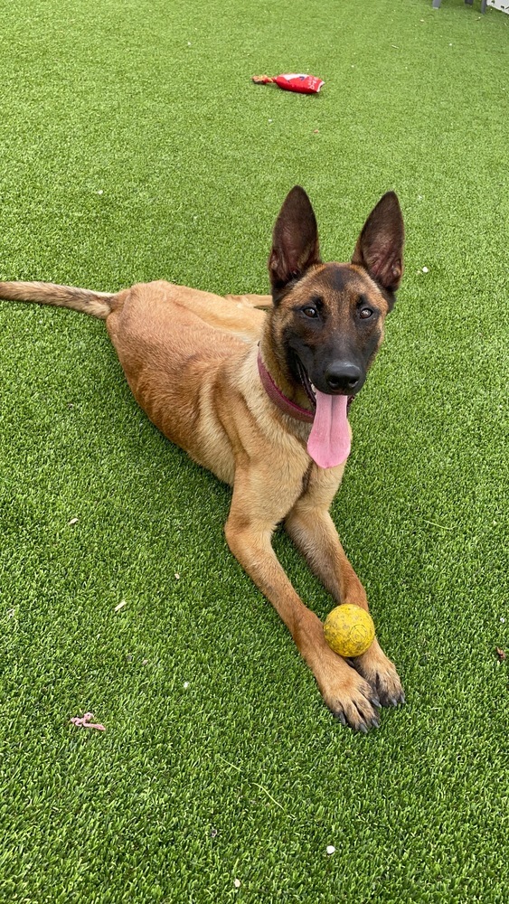 LC - Thelma - Located in Florida