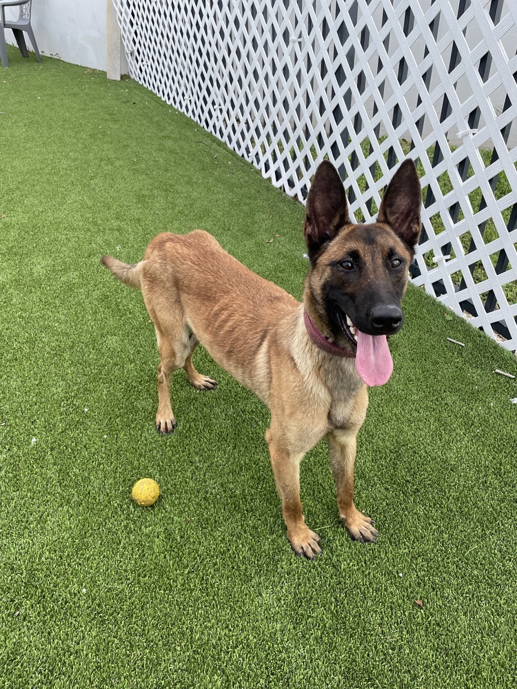 LC - Thelma - Located in Florida