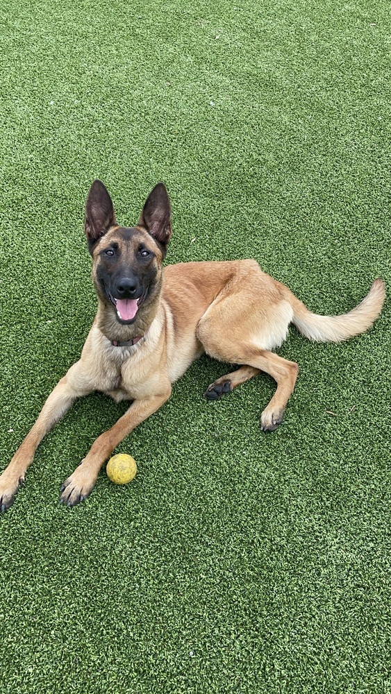 LC - Thelma - Located in Florida