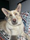 Maverick photo 1