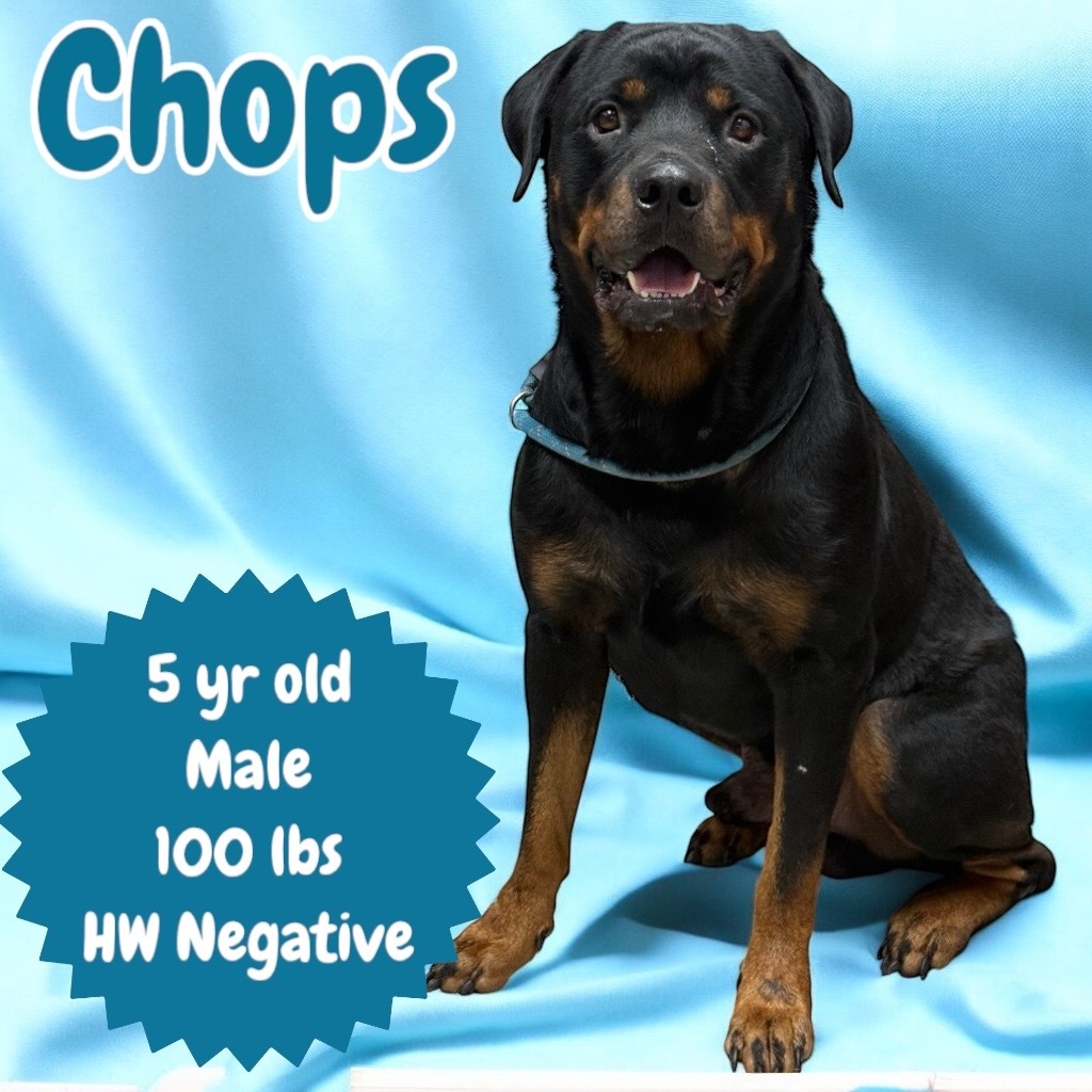 Chops